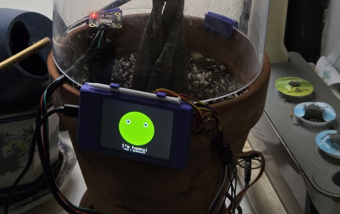 Fern-nando plant monitor on desk