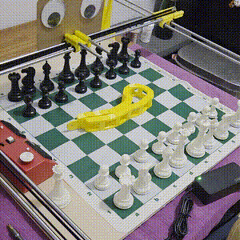 THE GOOGLY EYES ARE EVERYTHING