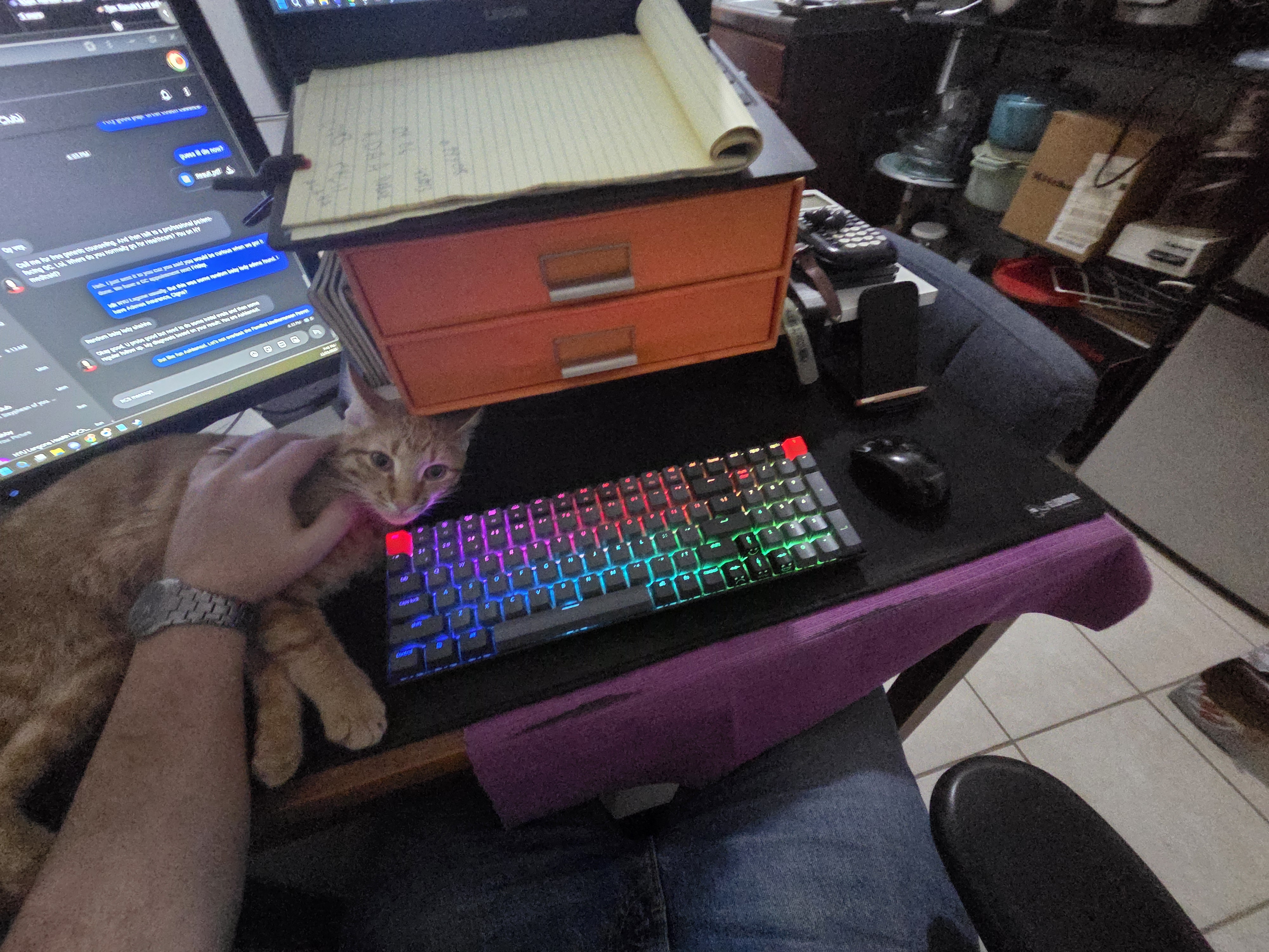 Cat left. Mouse Right.